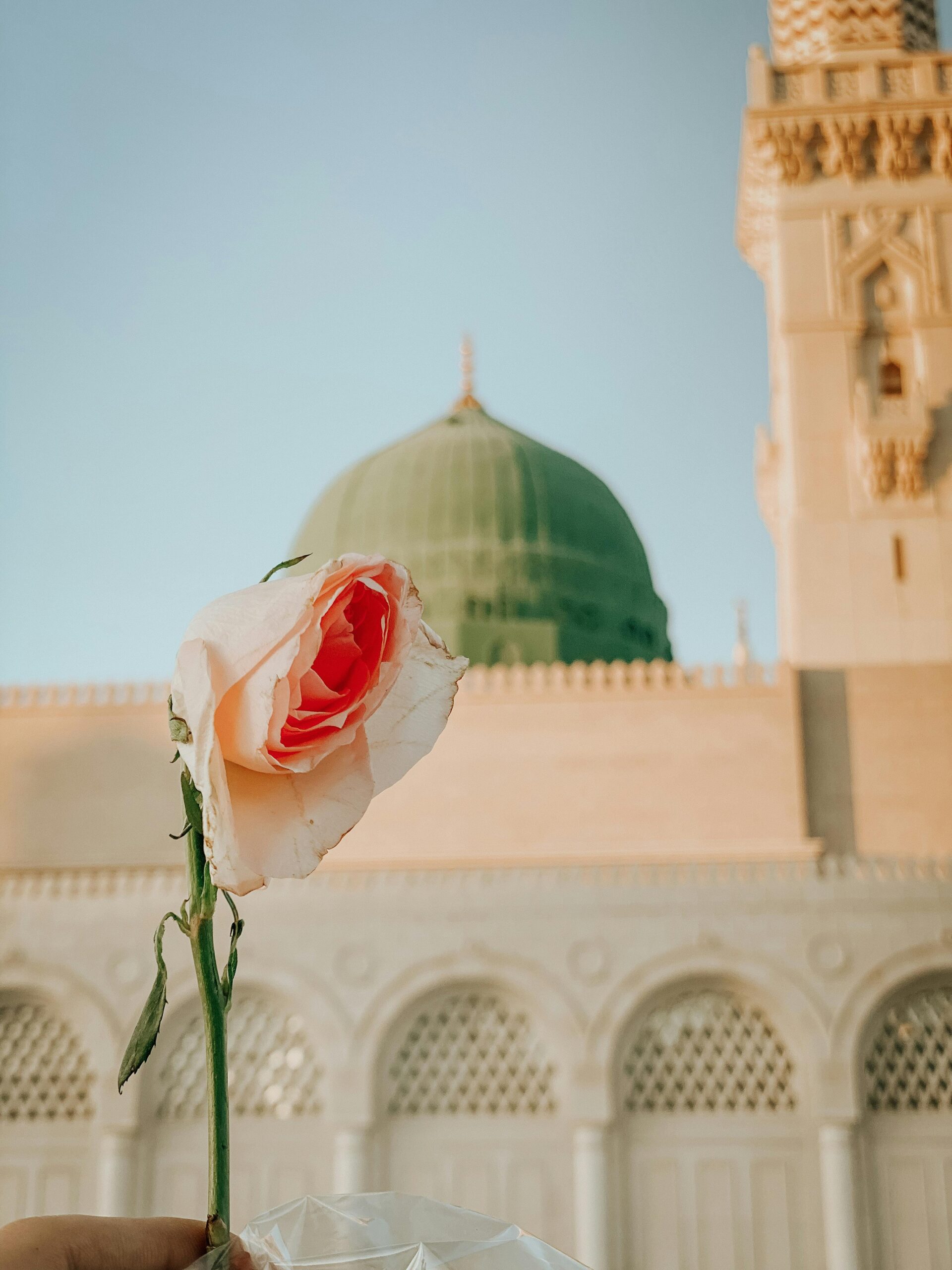 pexels-muhammed-ulucay-257533486-19995346